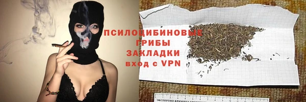 ECSTASY Алзамай