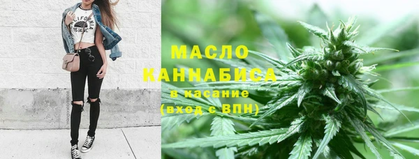 ECSTASY Алзамай