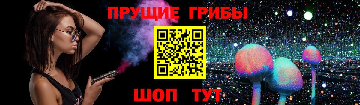 Галлюциногенные грибы Cubensis  Вход с VPN  Мичуринск 