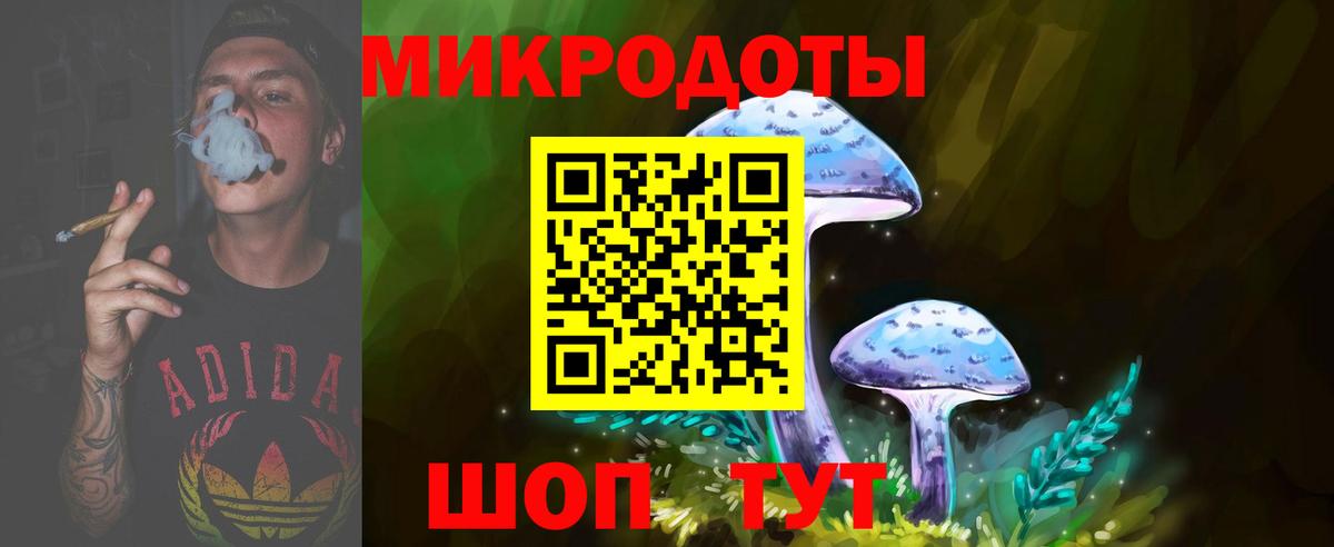 Псилоцибиновые грибы мицелий Мичуринск